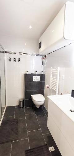 une salle de bain blanche avec des toilettes et un lavabo dans l'établissement App12, Mulhouse centre 4 Personnes, à Mulhouse