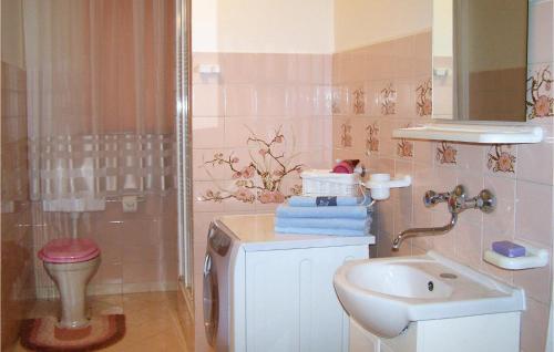 a bathroom with a sink and a toilet and a shower at Awesome Home In Darlowo With Kitchen in Darłowo