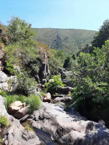 a rocky hillside with a stream of water and trees at Casa da Travessa do Casal in Alqueve