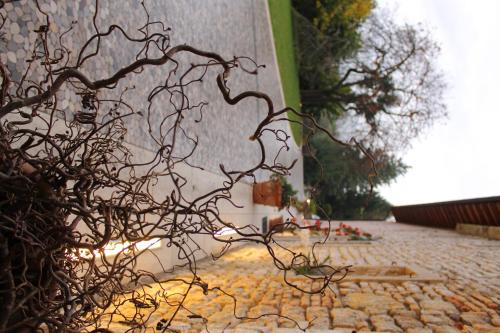 a sculpture of a plant on a brick sidewalk at Country House Due Fiumi in Sacile