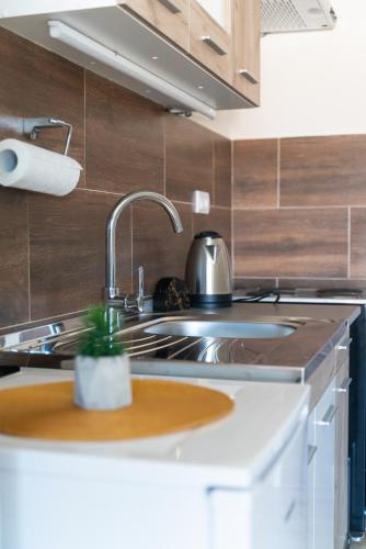 a kitchen with a sink and a pot on a stove at JEDRO - Apartman sa garažnim parkingom in Vrnjačka Banja