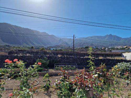 a garden with flowers and mountains in the background at Casa Tomas in Güimar
