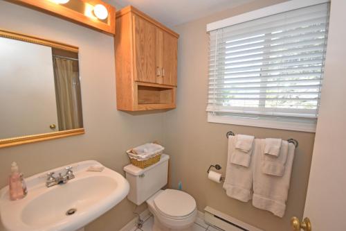 a bathroom with a sink and a toilet and a mirror at Dancin' Bear in Glen Arbor