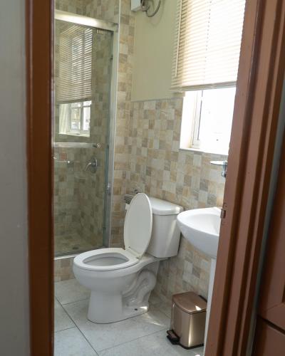 a bathroom with a toilet and a shower and a sink at Chillinn at duke in Kingston