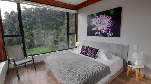 a bedroom with a bed and a large window at Hotel Termales Tierra Viva in Manizales