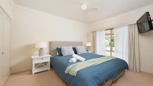 um quarto com uma cama azul e uma televisão em Coast and Country Estate - 15m Heated Pool and Minutes to Beach em One Mile