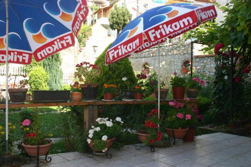 a flower shop with plants and an umbrella at Villa Filip in Trpejca