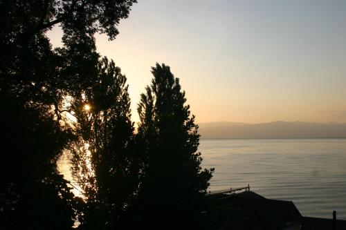 a sunset over the water with trees in the foreground at Villa Filip in Trpejca