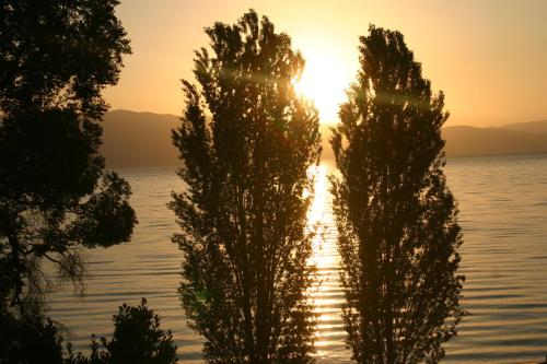 two trees in front of the water at sunset at Villa Filip in Trpejca