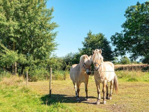 two horses are standing next to a fence at 11 person holiday home in Ørsted-By Traum in Ørsted