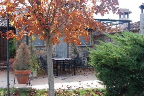 a tree in a garden with a table and chairs at Casa Rural Rincon de la Vega in Los Cortos