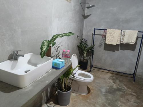 a bathroom with a sink and a toilet and plants at Phonluer Angkor Homestay, in Siem Reap