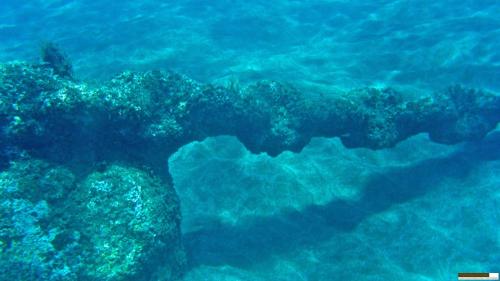 an underwater view of a reef in the ocean at FARINHA DE PAU - ECO B&B in Tarrafal