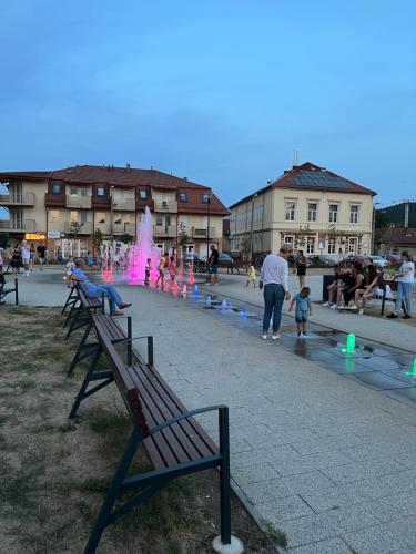 eine Gruppe Bänke in einem Park mit einem Brunnen in der Unterkunft Var Apartman in Miskolc