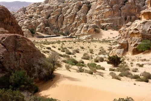 a desert scene with a train in a canyon at Ammarin Bedouin Camp in Wadi Musa