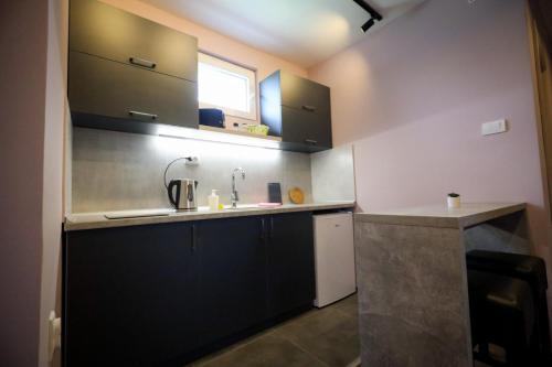 a small kitchen with black cabinets and a sink at Domaćin Komšijska Gostiona in Zrenjanin
