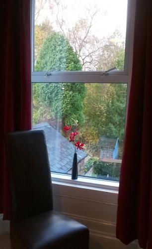 a window with a vase with flowers in it at Albany House in Penrith