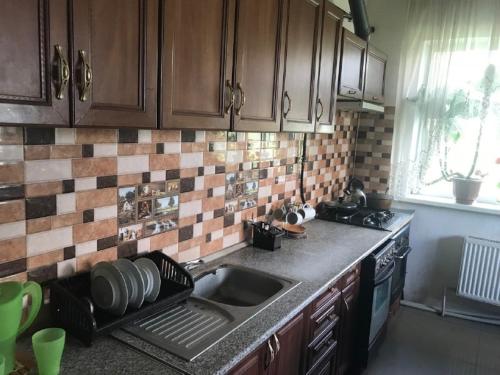 a kitchen with a sink and a counter top at Khutorok Svergio in Chesnivka