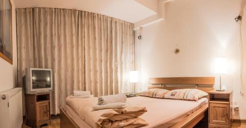 1 dormitorio con 1 cama grande y TV en Dracula Adventure Tours Accommodation, en Bucarest