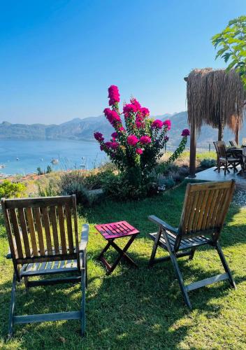 Φυσικό τοπίο κοντά σε αυτό το bed & breakfast