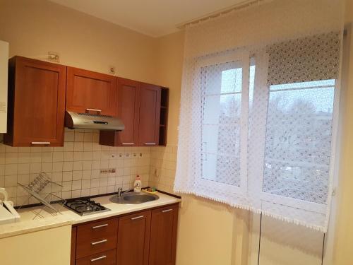 cocina con fregadero y ventana en Centrum Noclegowe Apartament 3, en Bydgoszcz