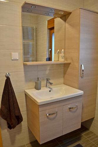 a bathroom with a sink and a mirror at Holiday house with a parking space Ozalj, Karlovac - 19578 in Ozalj