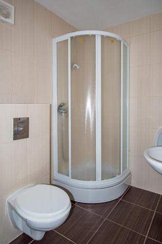 a bathroom with a shower and a toilet and a sink at Family friendly house with a parking space Lokve, Gorski kotar - 19457 in Lokve