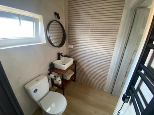 a bathroom with a white toilet and a sink at Stawiska nad tanwia in Jędrzejówka