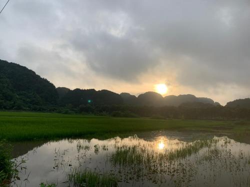 a reflection of the sunset in a rice field at Tam Coc Wonderland Bungalow in Ninh Binh