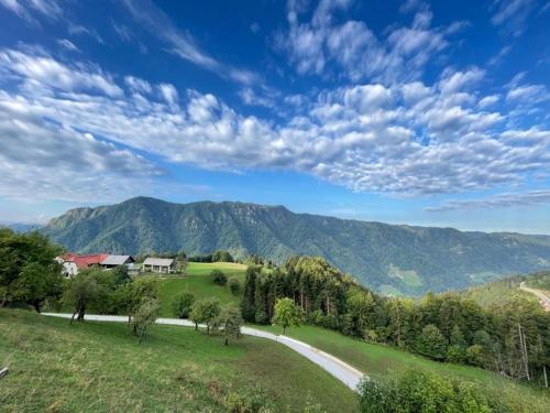 a road in a field with mountains in the background at Apartments and rooms pri Bašlju in Cerkno