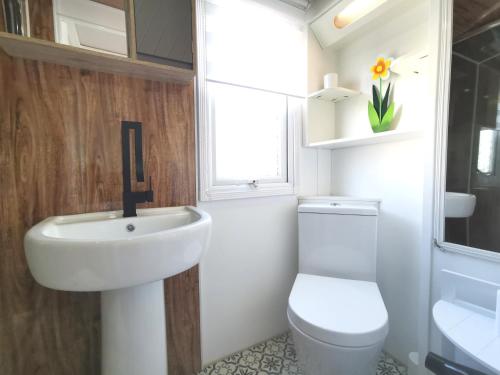 a bathroom with a sink and a toilet and a window at Lakes and woodlands Overstone Holiday Park in Northampton