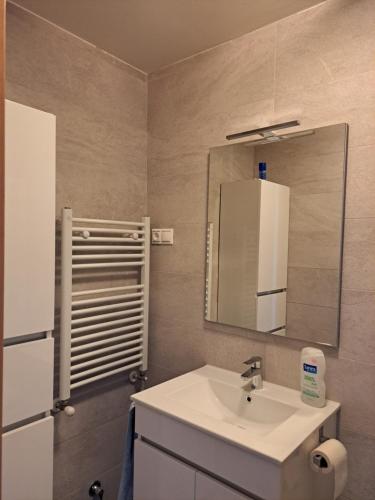 a bathroom with a sink and a mirror at Tu Morada en Talavera in Talavera de la Reina