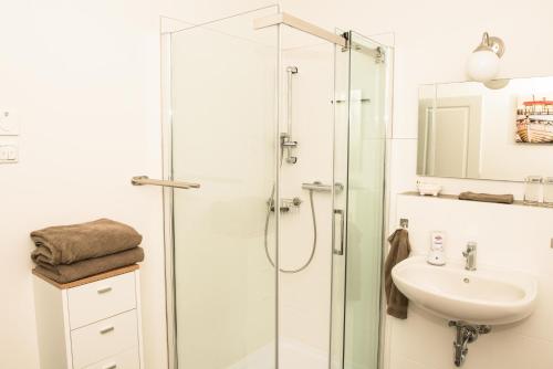La salle de bains est pourvue d'une douche en verre et d'un lavabo. dans l'établissement Ferienwohnung Bad Vilbel, à Bad Vilbel