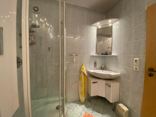 a bathroom with a shower and a sink and a toilet at Wunderschöne Ferienwohnung in Nagel am See in Nagel