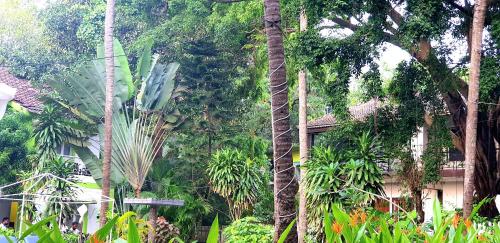 a garden with palm trees and a house at CALANGUTE BEACH VILLA # 3BHk # POOL # KITCHEN # 300MTS TO BEACH by GR Stays in Calangute