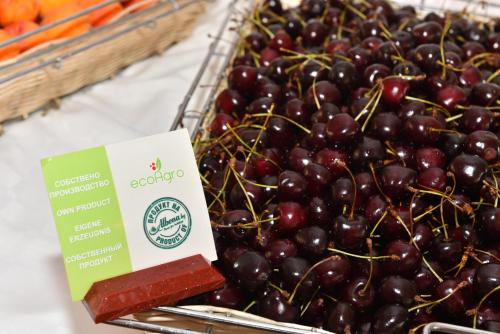 Jídlo v hotelu nebo okolí