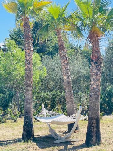 Jardín al aire libre en Luxury Home & Pool