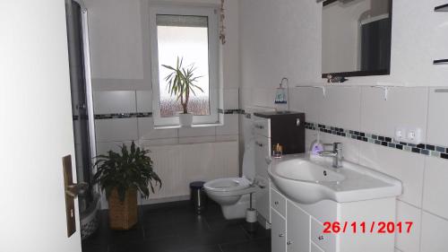 łazienka z umywalką, toaletą i oknem w obiekcie Ferienwohnung - am- Goethewanderweg w mieście Stützerbach