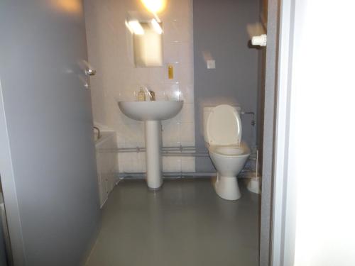 łazienka z toaletą i umywalką w obiekcie Logement type studio 1 piece proche zénith w Strasburgu