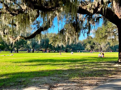 Park z ludźmi siedzącymi w trawie w obiekcie Be Our Gaston's "The Garden of Good" w mieście Savannah