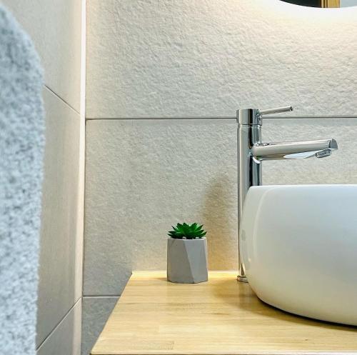 - un lavabo dans la salle de bains avec une plante en pot sur un comptoir dans l'établissement Casa do Carmo, à Sousel