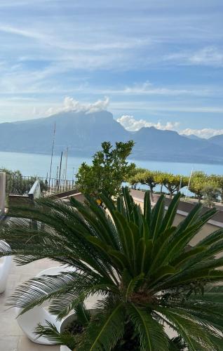 a palm tree on a balcony with a view of the ocean at Suite La Castellana in Torri del Benaco
