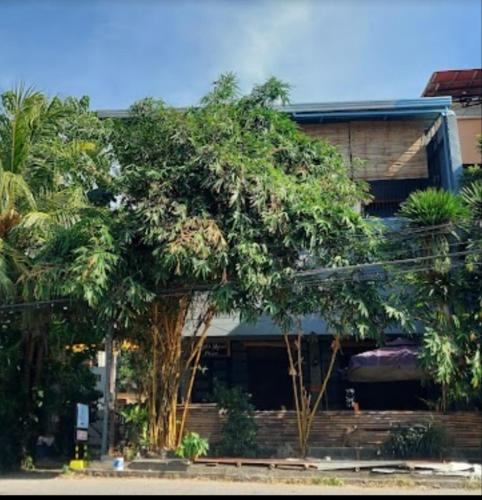 a group of trees in front of a building at Angel and Marie's Basic FANroom for 1 - 2 pax in Dalumpinas Oeste