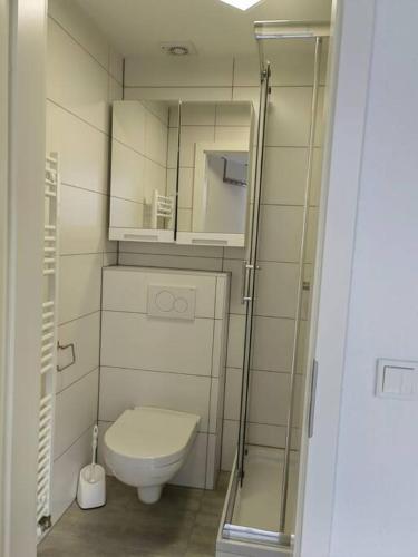 La petite salle de bains est pourvue de toilettes et d'un miroir. dans l'établissement Sehr schöne seperate Wohnung 2-Zimmer Küche/Bad, à Erzhausen