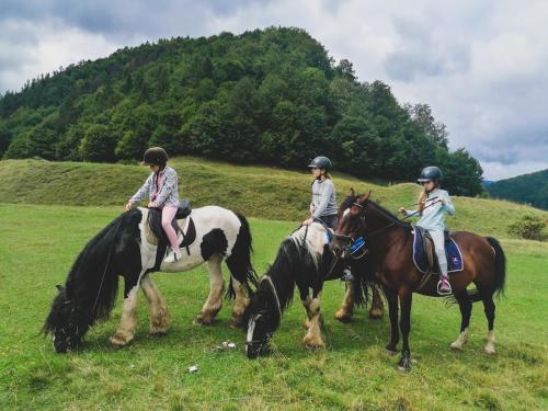 3 Menschen reiten auf Pferden auf einem Feld in der Unterkunft Glamping Spiritul Zimbrului in Vama Buzăului