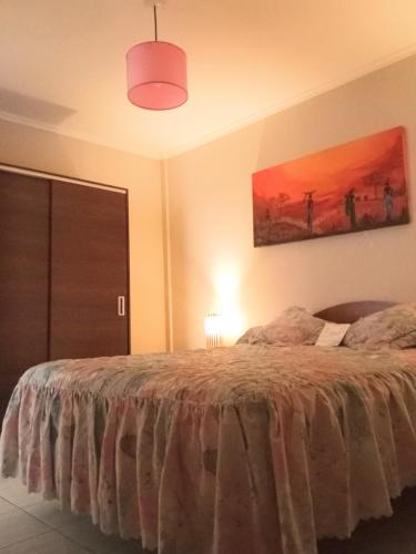 a bedroom with a bed and a painting on the wall at Nuez de la Isla "Centro Apart"-MICROCENTRO- Balcón al frente 8vo in Paraná
