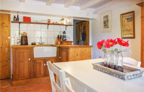 Køkken eller tekøkken på Gorgeous Home In Langy With House A Panoramic View