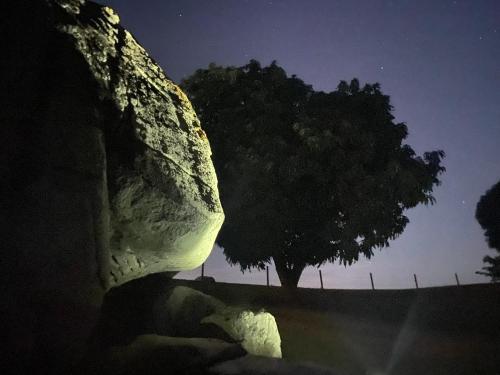 Lejos Eco Retreat في بييكيس: شجرة في حقل في الليل مع سياج