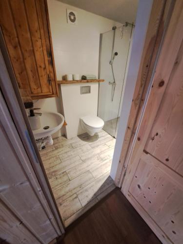 a small bathroom with a toilet and a shower at Siedlisko nad Jeziorem-Mazury in Mrągowo