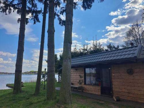 a cabin with a view of the water and trees at Siedlisko nad Jeziorem-Mazury in Mrągowo